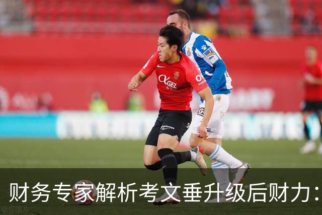 财务专家解析考文垂升级后财力：花钱不保证成功，但确实能帮你兜底